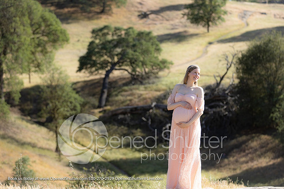 OpenedShutter.com-Portfolio-410