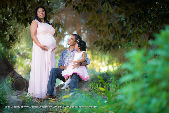 OpenedShutter.com-Portfolio2-196