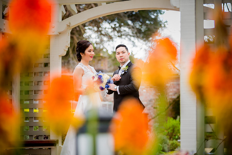 Opened Shutter Photography | Investment