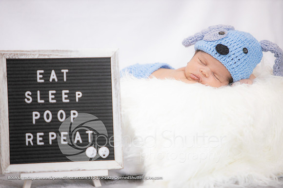 OpenedShutter.com-Portfolio-319