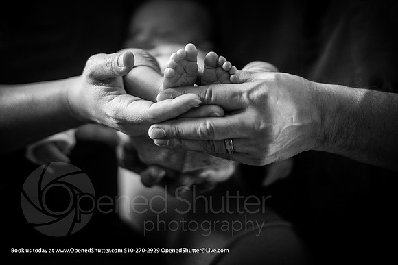 OpenedShutter.com-Portfolio-12