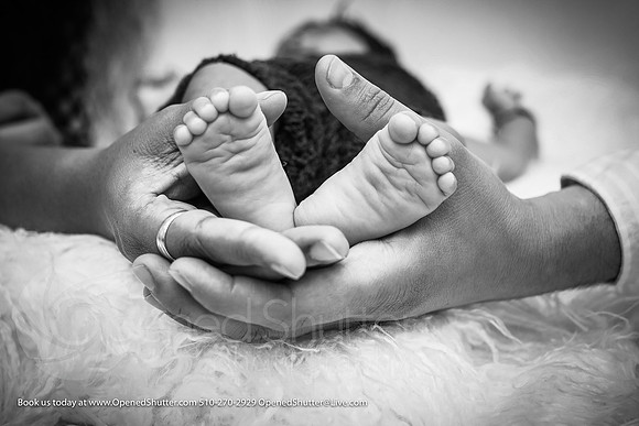 OpenedShutter.com-Portfolio-66