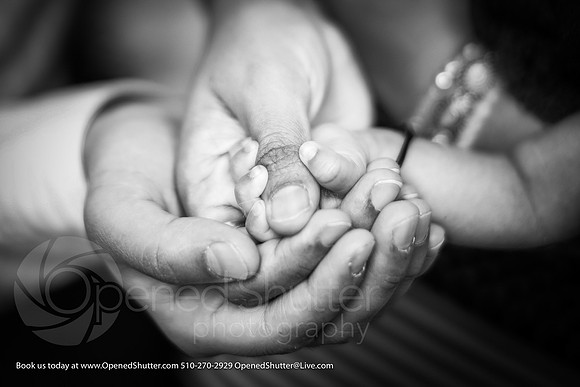 OpenedShutter.com-Portfolio-67