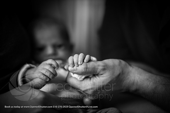 OpenedShutter.com-Portfolio-14