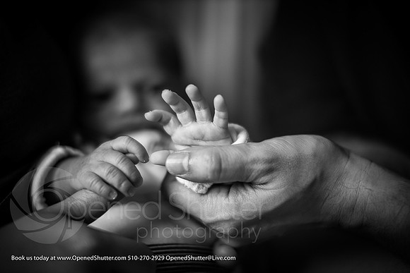 OpenedShutter.com-Portfolio-13